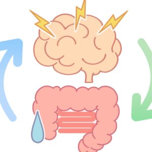 脳と腸の関係｜過敏性腸症候群と自律神経の関係｜お腹の不調を整えるには？