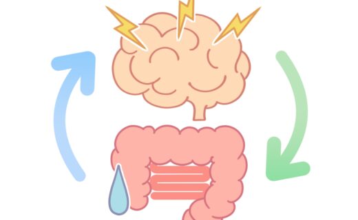脳と腸の関係｜過敏性腸症候群と自律神経の関係｜お腹の不調を整えるには？
